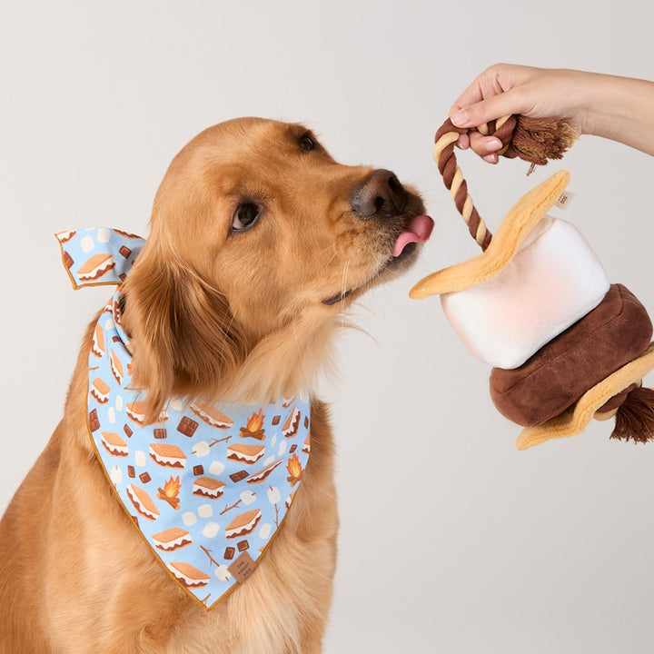 S'more interactive snuffle dog toy for summer enrichment