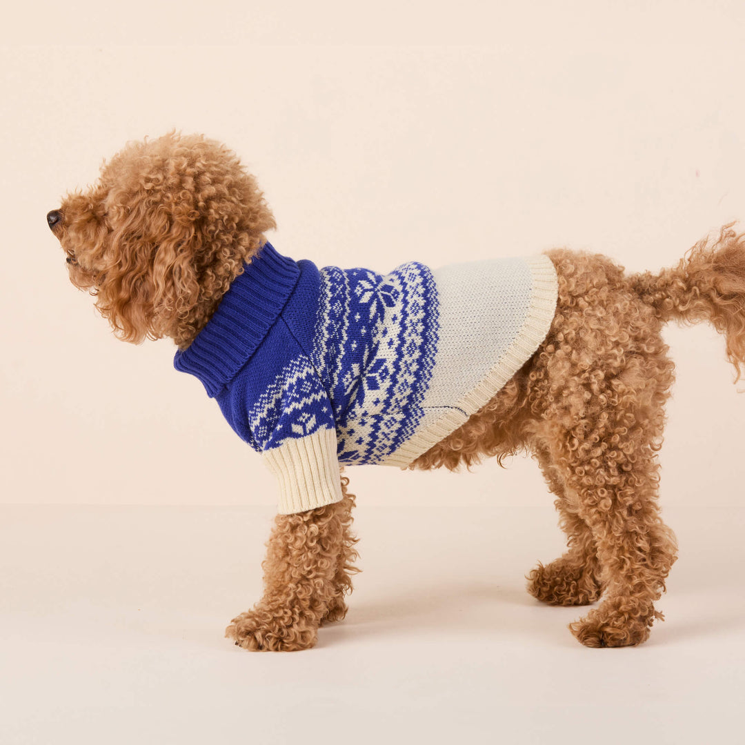 Side view of a curly-coated dog in a blue-and-cream snowflake turtleneck sweater.
