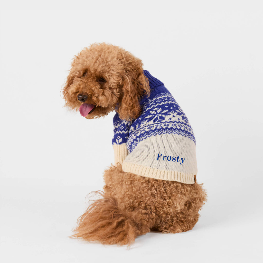 Curly-coated dog looking back in a blue-and-cream snowflake sweater with name embroidery.