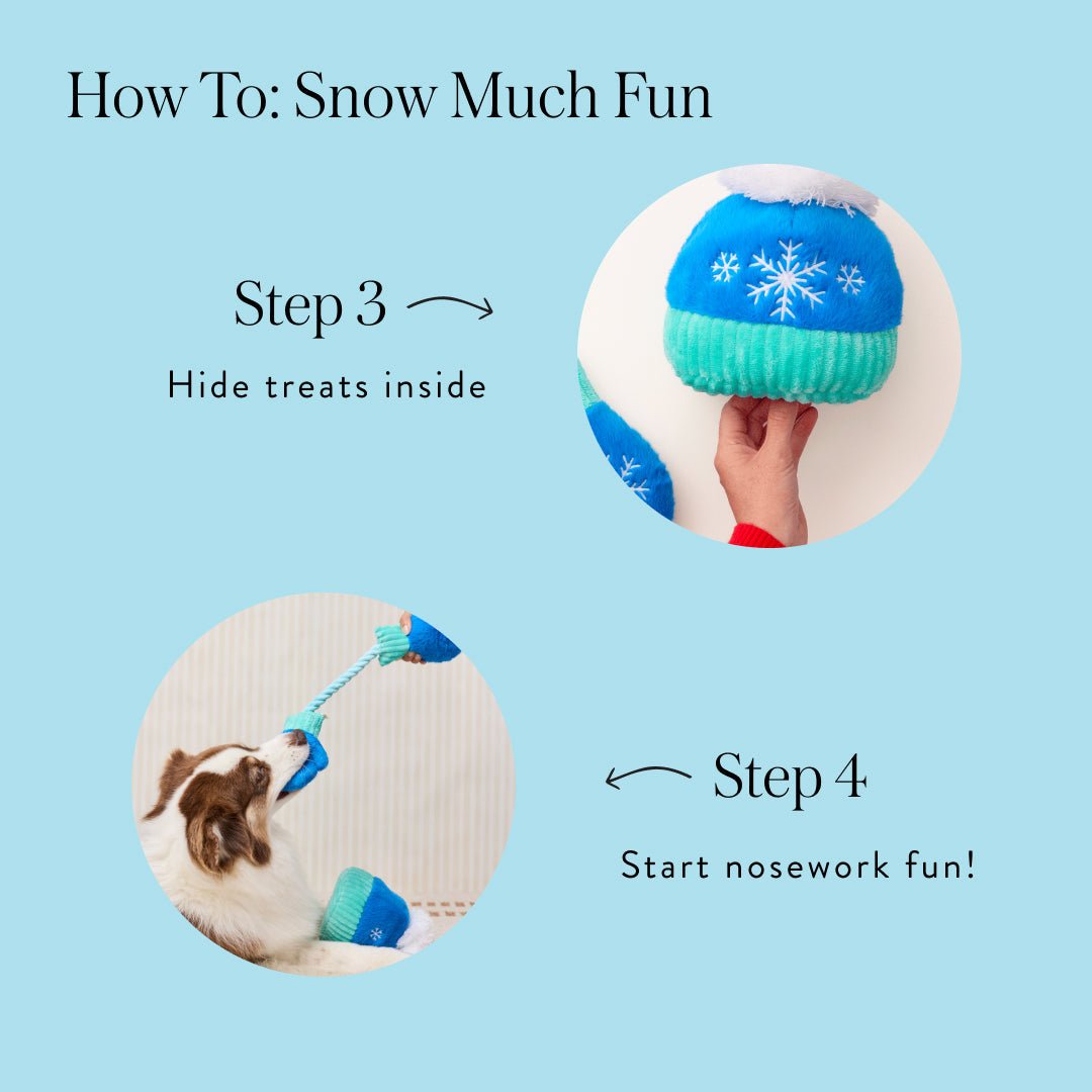 Hat and mittens how-to: hide treats inside, then start nose work