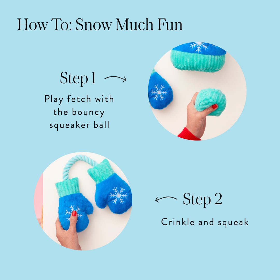 How-to graphic: play fetch with the bouncy squeaker ball, then crinkle and squeak the mittens