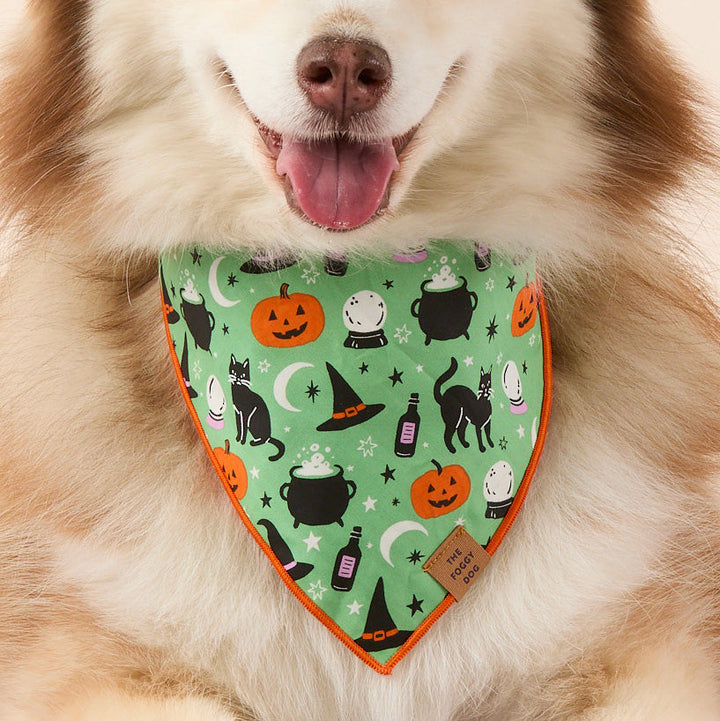 Spellbound Reversible Dog Bandana
