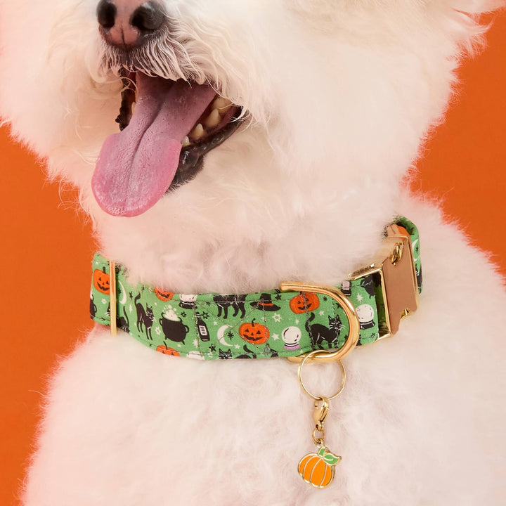 Spellbound Dog Collar