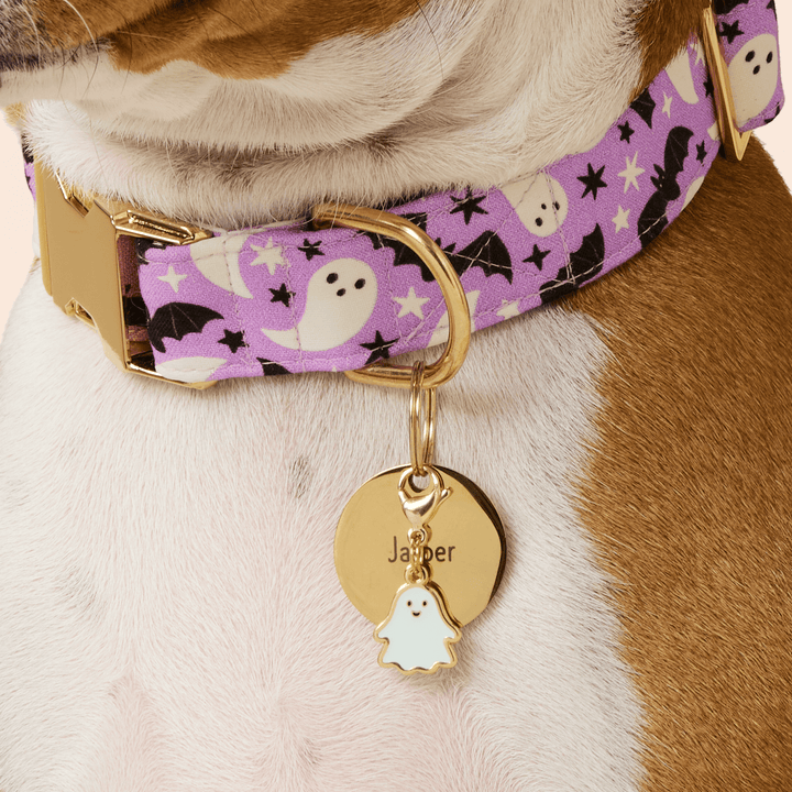 Halloween Favorites Collar Charm Set