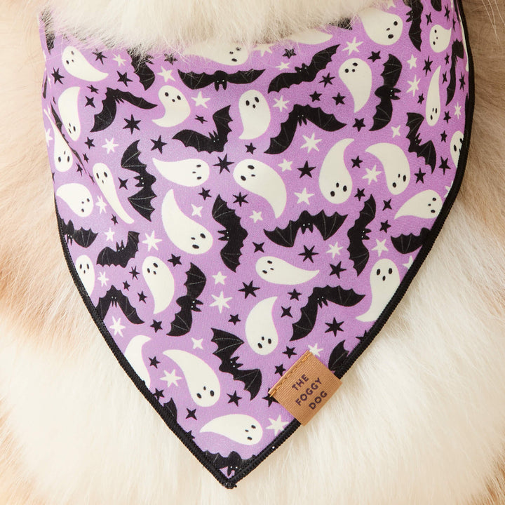 Spooky Season Reversible Dog Bandana