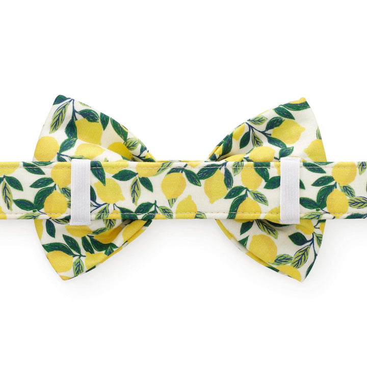 Lemon Zest Bow Tie Collar - Bonjour Fête 