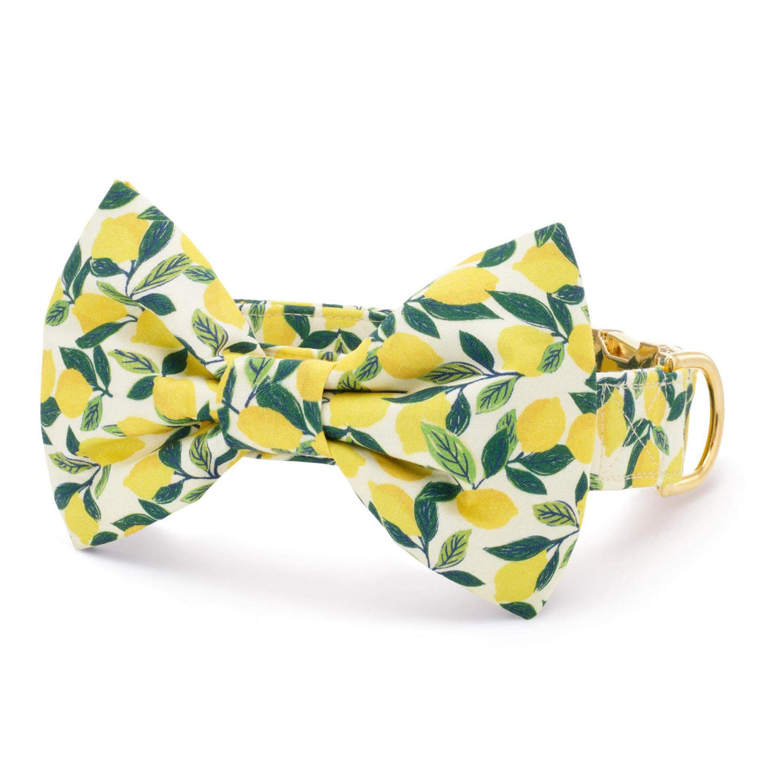 Lemon Zest Bow Tie Collar - Bonjour Fête 