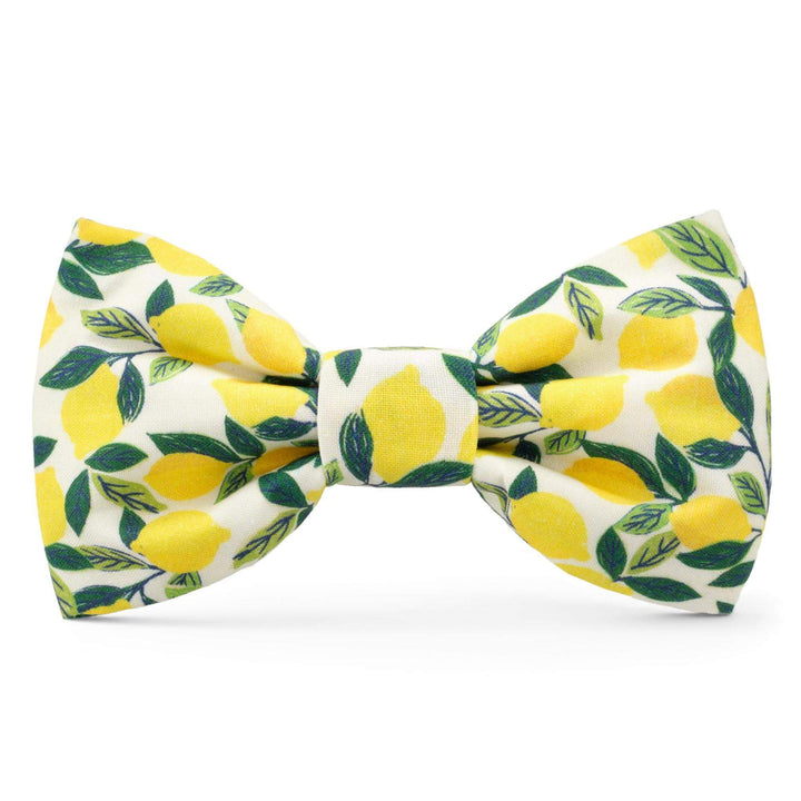 Lemon Zest Dog Bow Tie - Bonjour Fête 