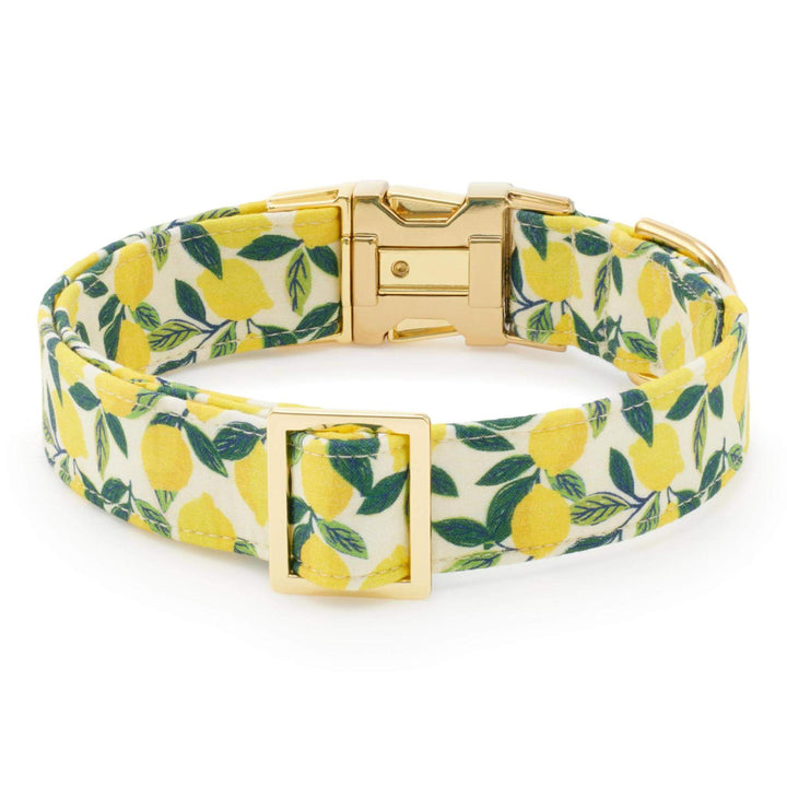 Lemon Zest Dog Collar - Bonjour Fête 