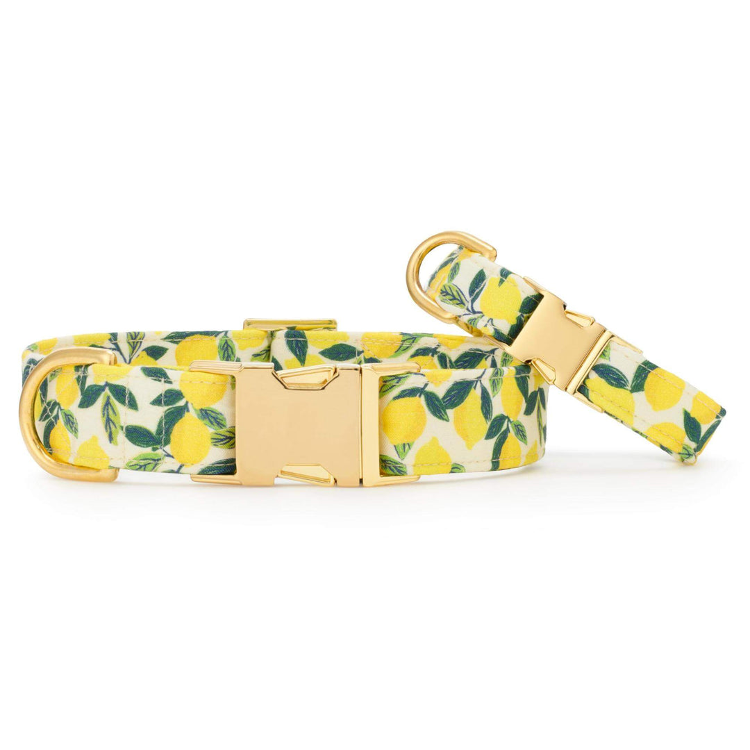 Lemon Zest Dog Collar - Bonjour Fête 