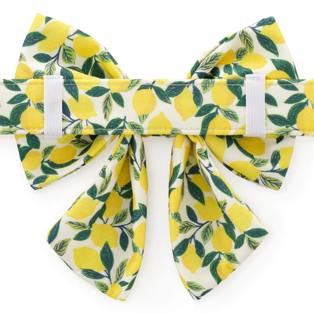 Lemon Zest Lady Dog Bow - Bonjour Fête 