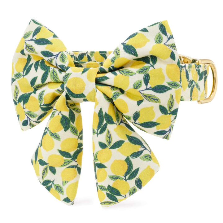 Lemon Zest Lady Bow Collar - Bonjour Fête 