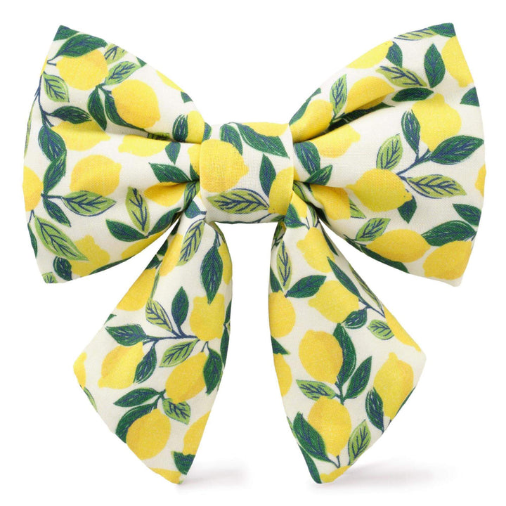 Lemon Zest Lady Dog Bow - Bonjour Fête 