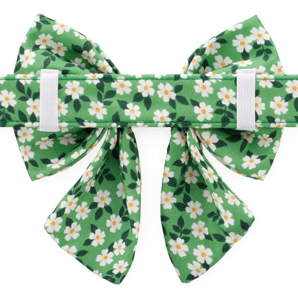 Back of the daisy lady dog bow showing elastic collar loops