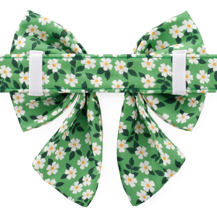 Back of the daisy lady dog bow showing elastic collar loops