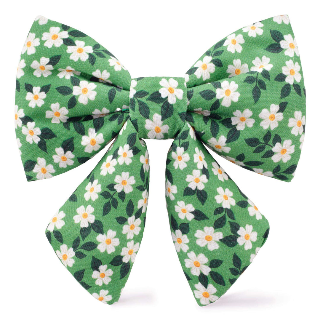 Dainty daisies floral lady dog bow, front view