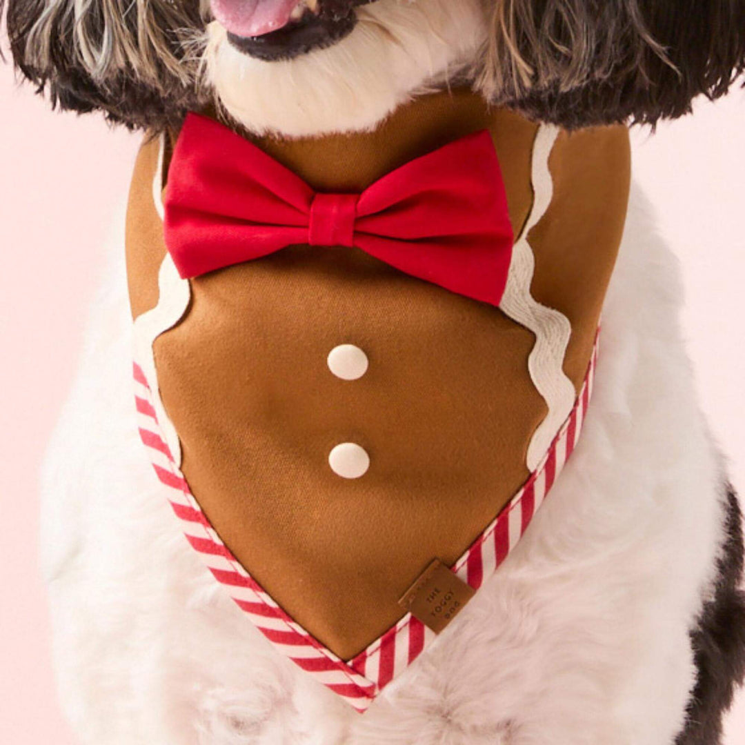 Close-up of a dog wearing the Sugar and Spice gingerbread bandana with red bow, white buttons, and striped edging.