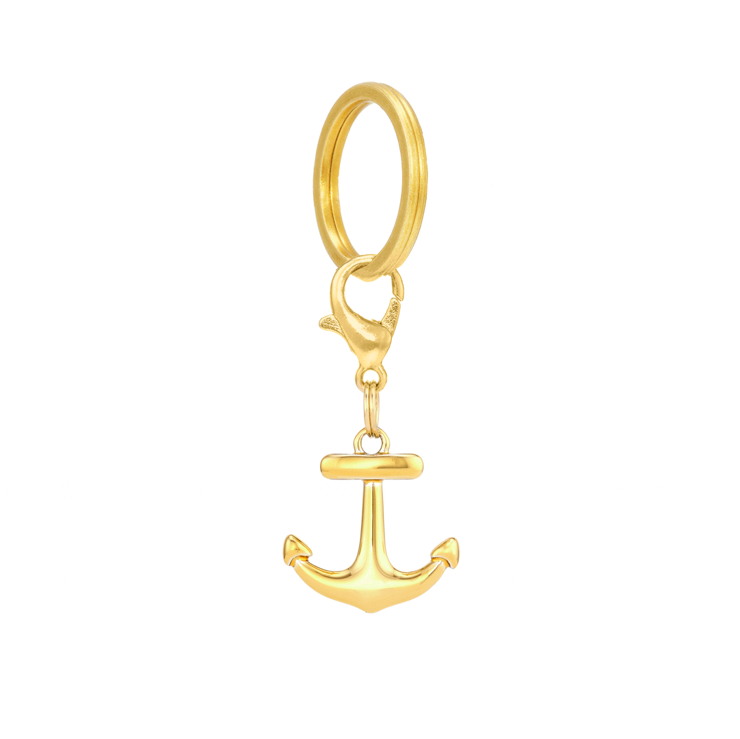 Animated view of the anchor dog collar charm