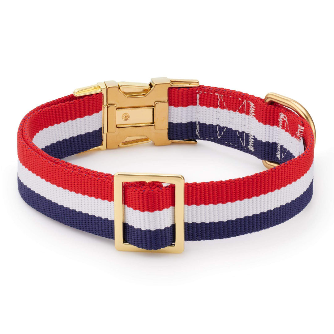 Back of the Newport striped dog collar with soft fabric lining
