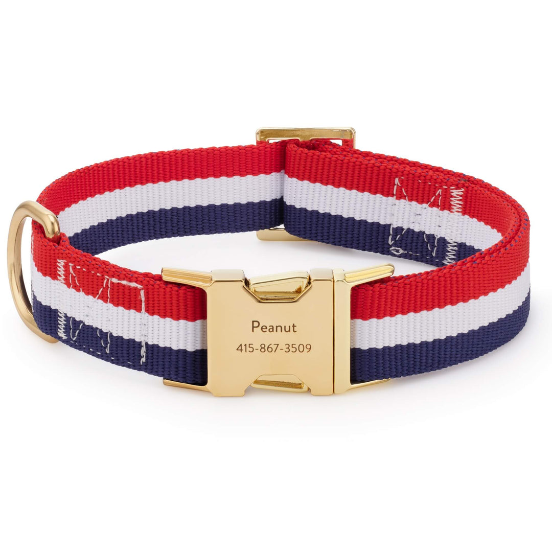 Newport coastal striped dog collar, front view with brass D-ring