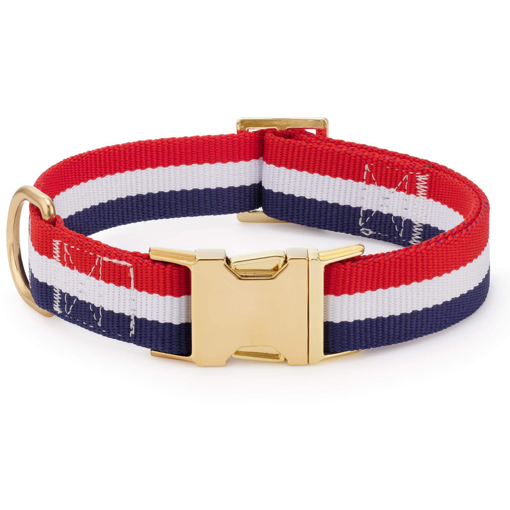Newport striped webbing dog collar shown from the front