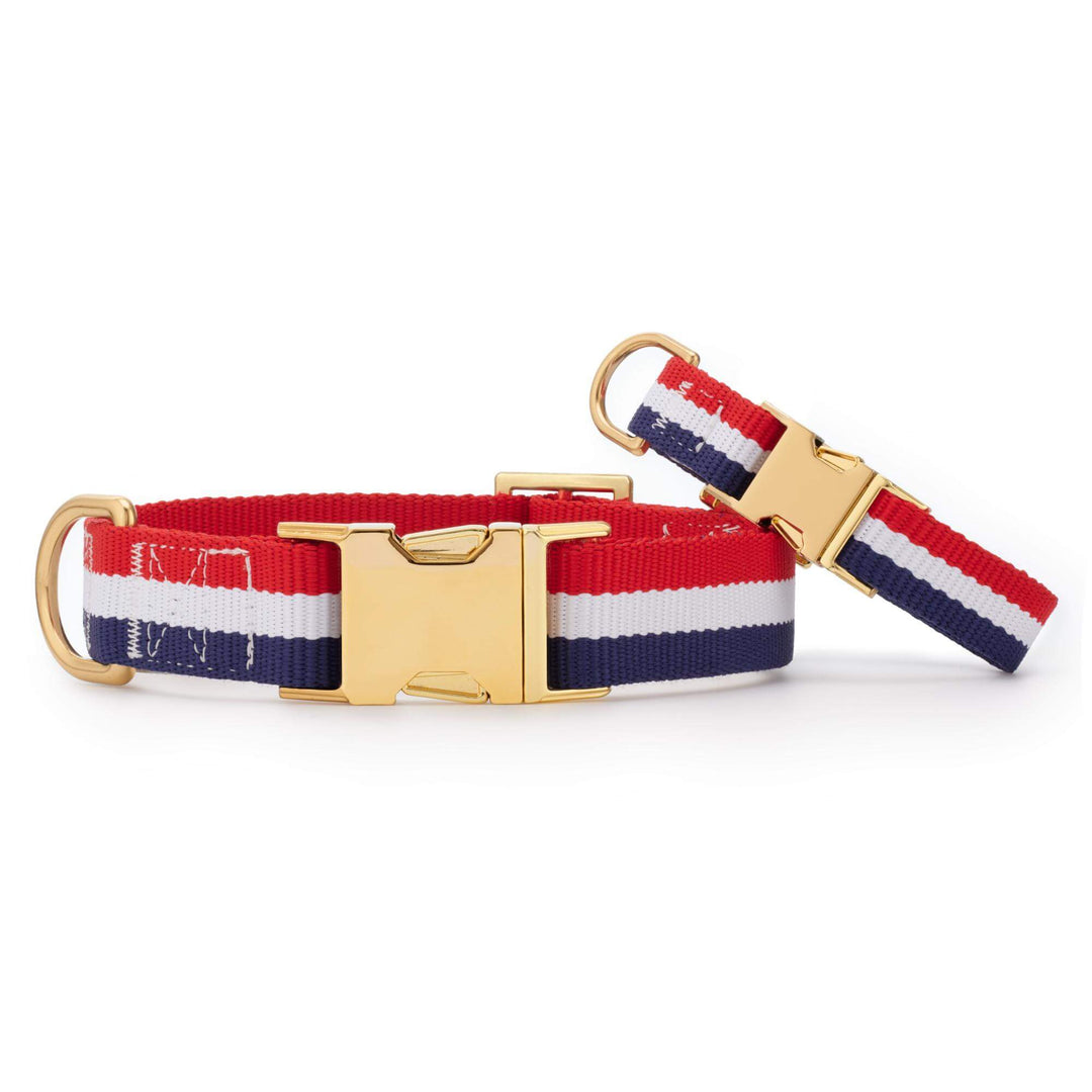 Newport striped dog collar shown in two colorways side by side
