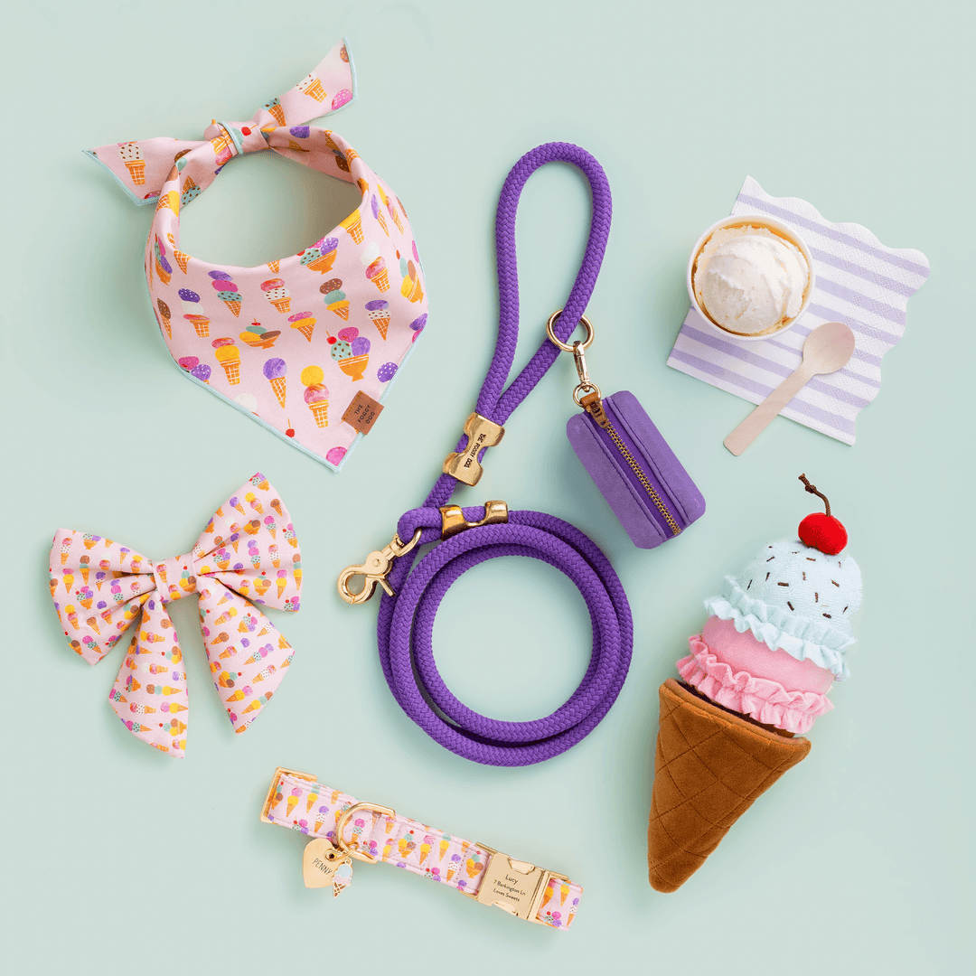 Ice Cream Interactive Snuffle Dog Toy - Bonjour Fête 