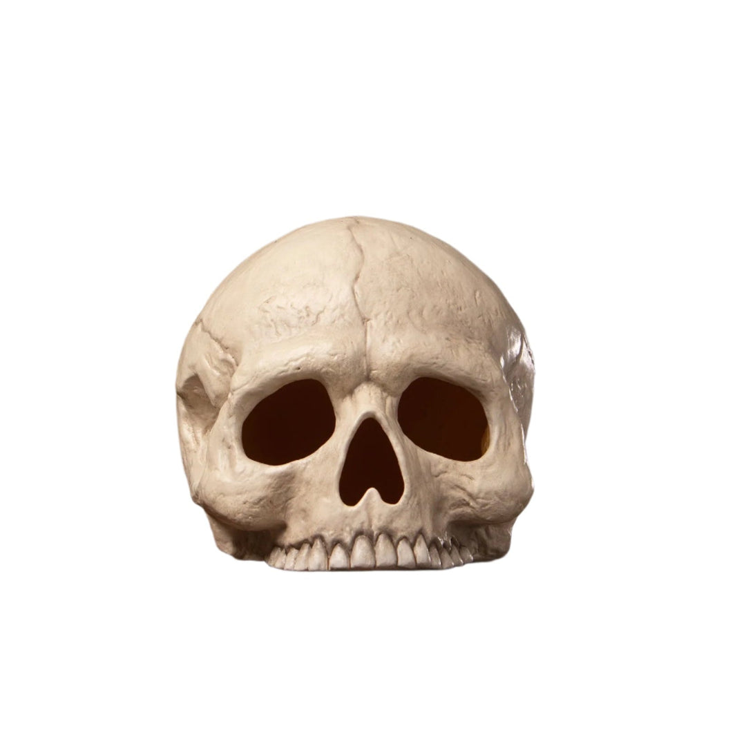 BETHANY LOWE SKULL VOTIVE Bethany Lowe Designs, Inc. BETHANY LOWE SKULL VOTIVE Bonjour Fete - Party Supplies
