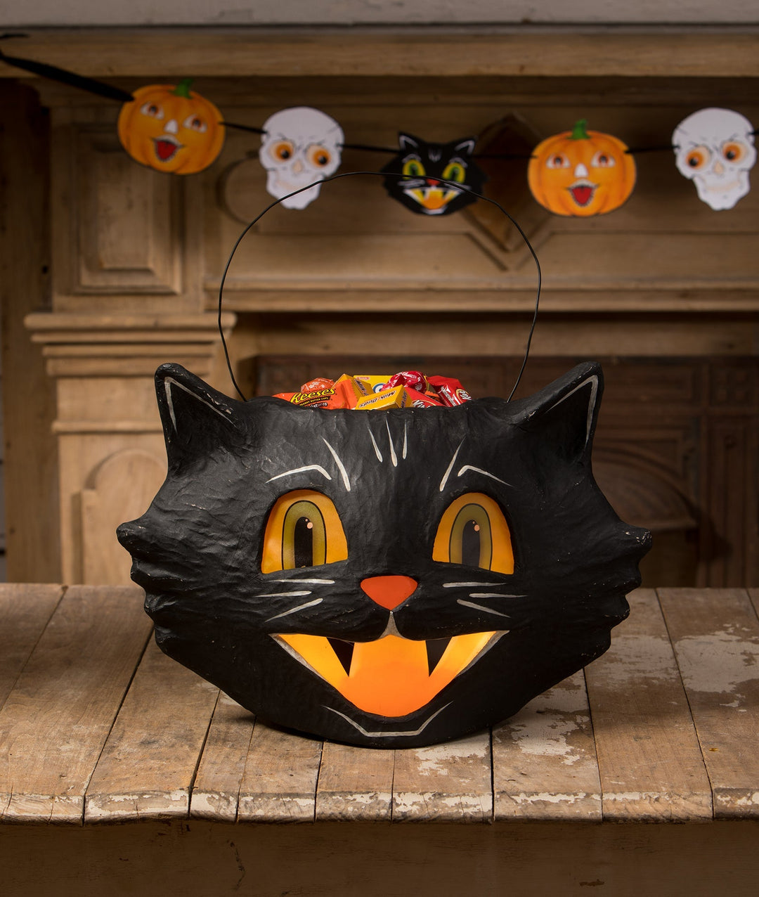 Mr. Cool Cat Bucket Bethany Lowe Designs, Inc. Mr. Cool Cat Bucket Bonjour Fete - Party Supplies