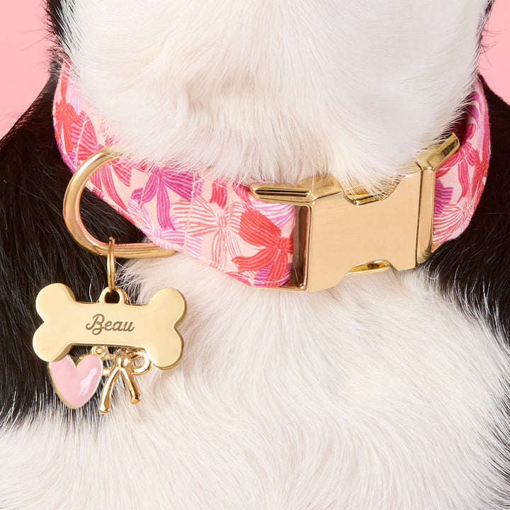 Black and white dog in a pink floral collar with an engraved bone tag and gold bow charm