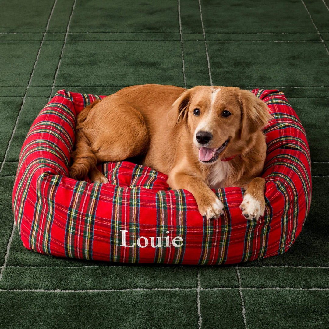 Red-coated dog lying in the tartan bolster bed embroidered Louie on a dark green rug