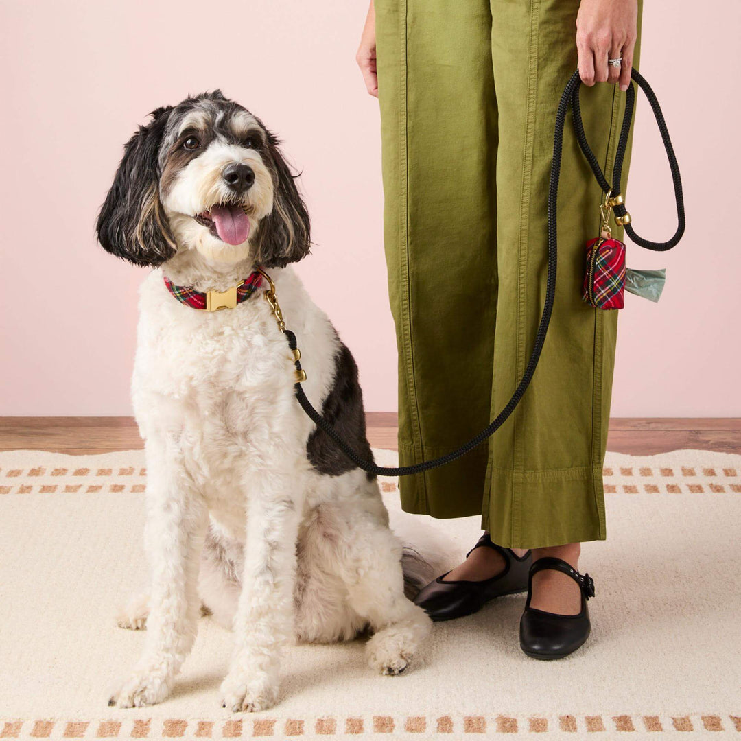 Black-and-white dog in a tartan collar beside a person holding a black leash with plaid bag holder.