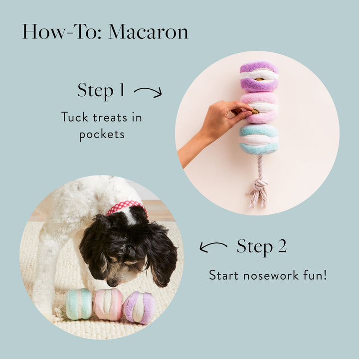Macarons Interactive Snuffle Dog Toy - Bonjour Fête 