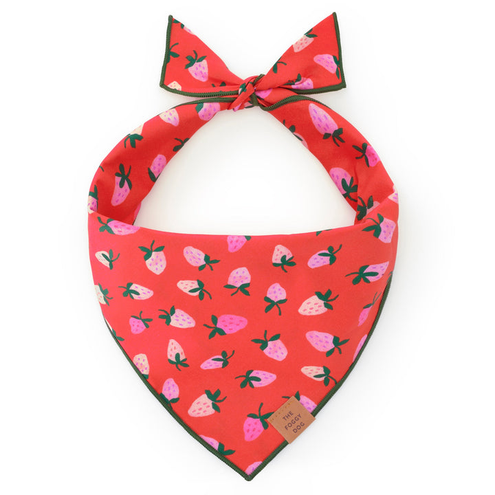 Berry Sweet dog bandana with a red berry print and dark green merrow hem