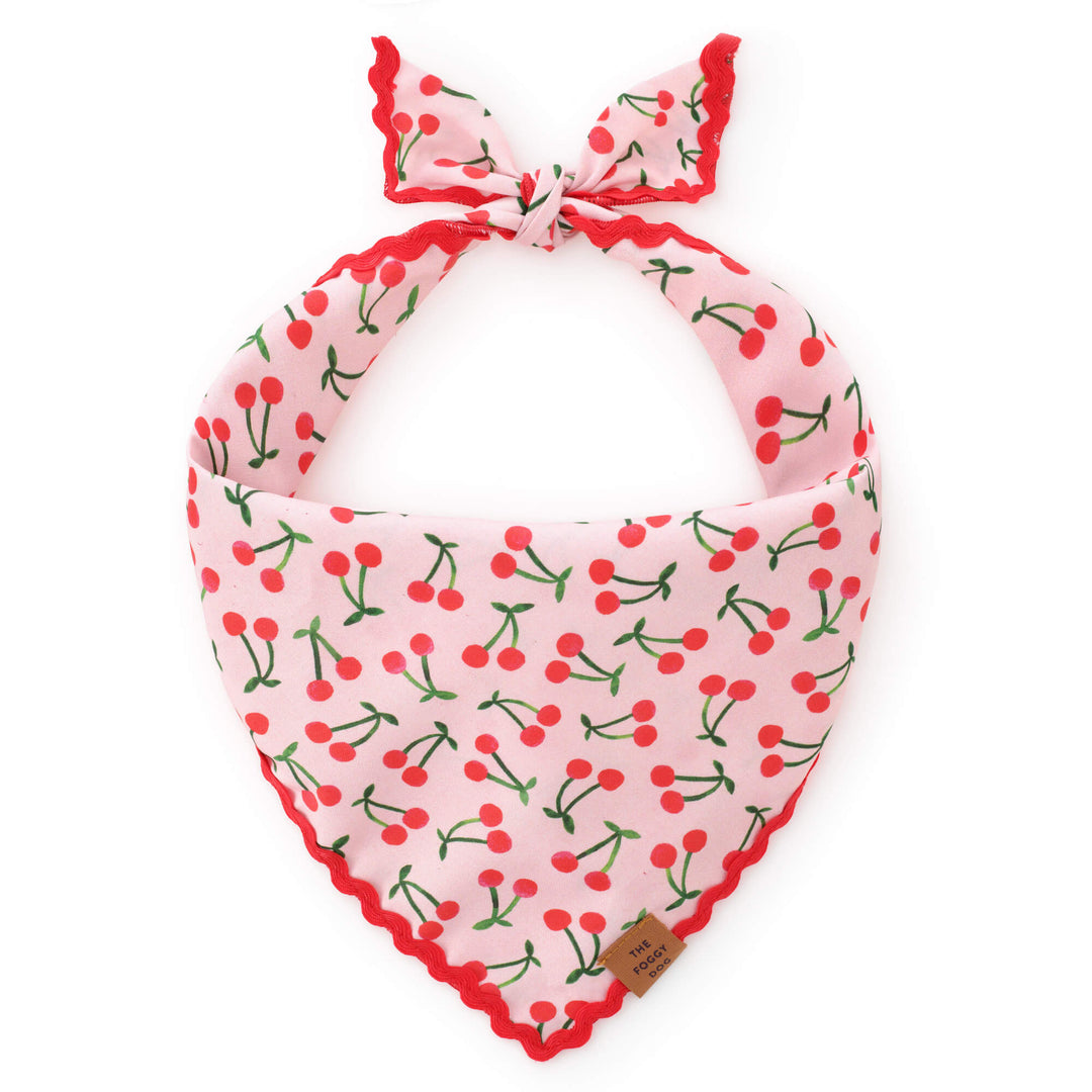 Cherry print dog bandana tied on for Valentine's Day
