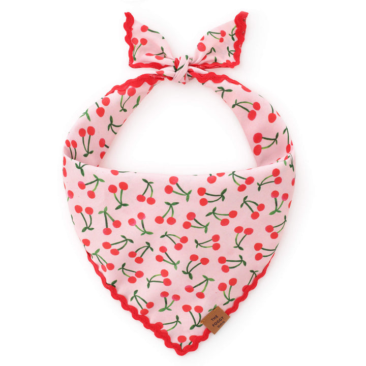 Cherry print dog bandana tied on for Valentine's Day