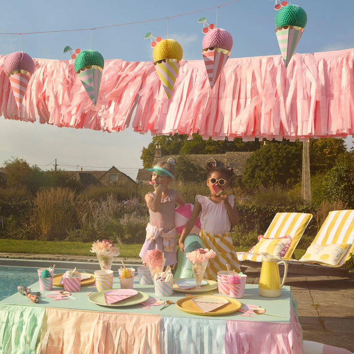 Pink Fringe Garland Meri Meri Pink Fringe Garland Bonjour Fete - Party Supplies
