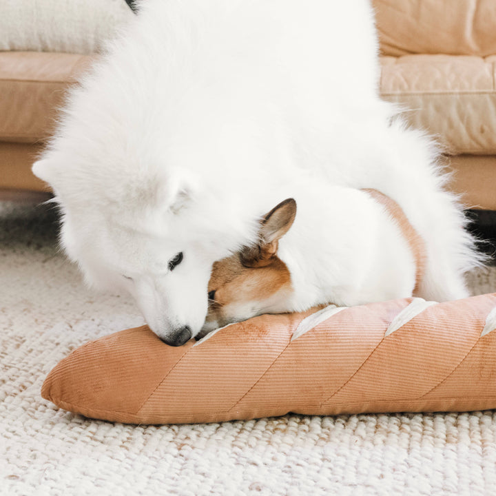 GIANT BAGUETTE DOG TOY Lambwolf Collective Pet GIANT BAGUETTE DOG TOY Bonjour Fete - Party Supplies