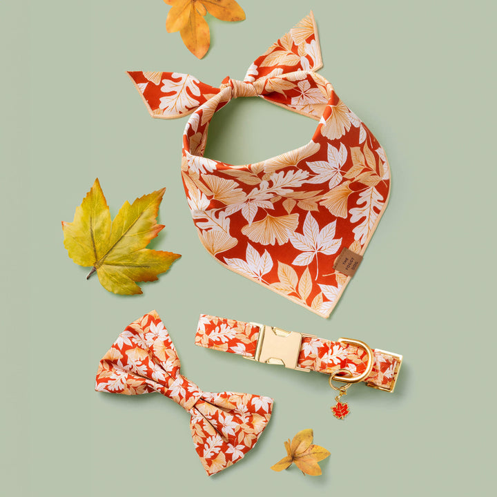 Woodland Collar Charm Set