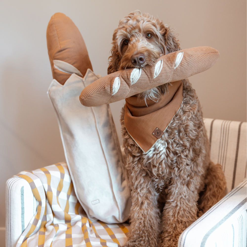 GIANT BAGUETTE DOG TOY Lambwolf Collective Pet GIANT BAGUETTE DOG TOY Bonjour Fete - Party Supplies