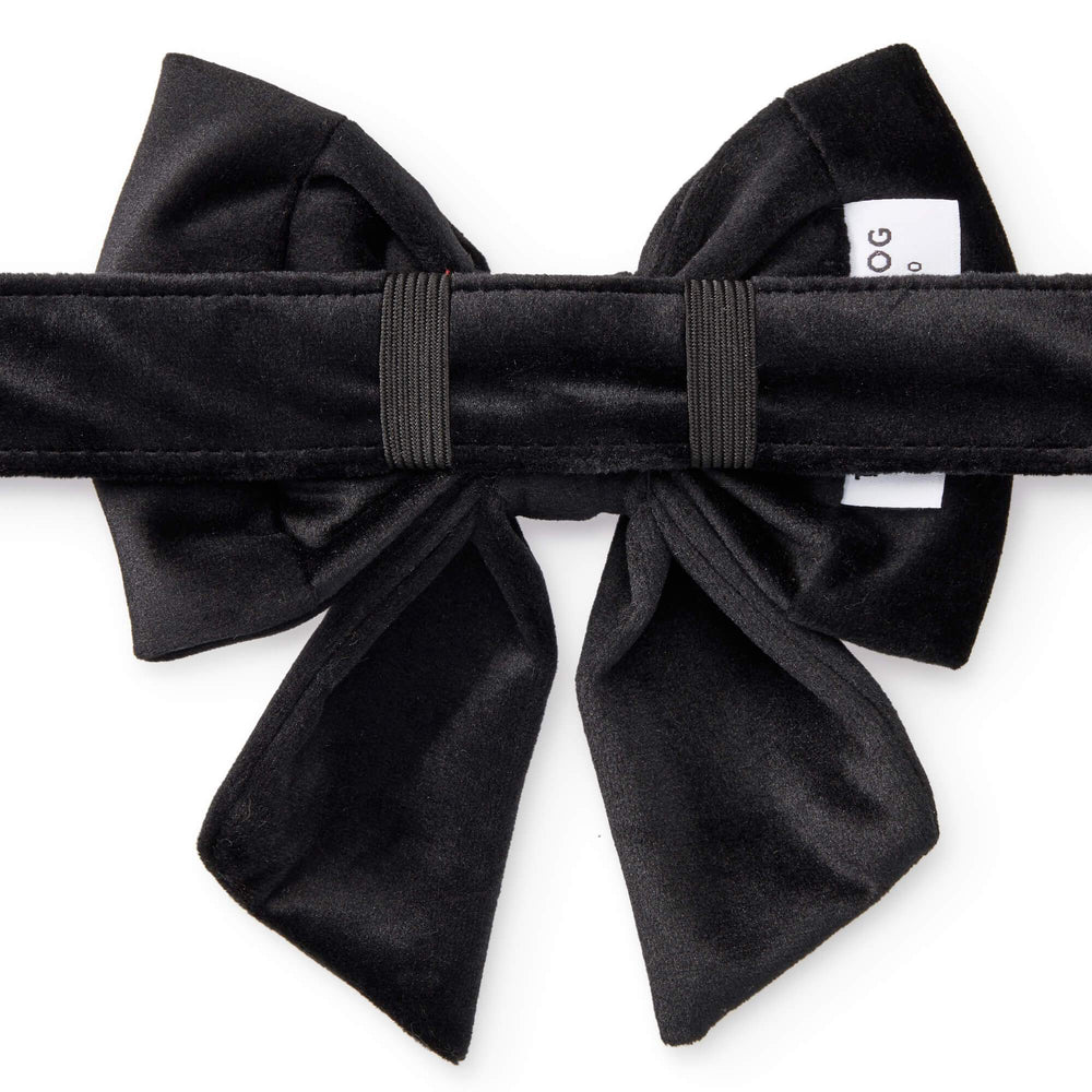Back of the black velvet dog bow showing the elastic bands that slide onto a collar