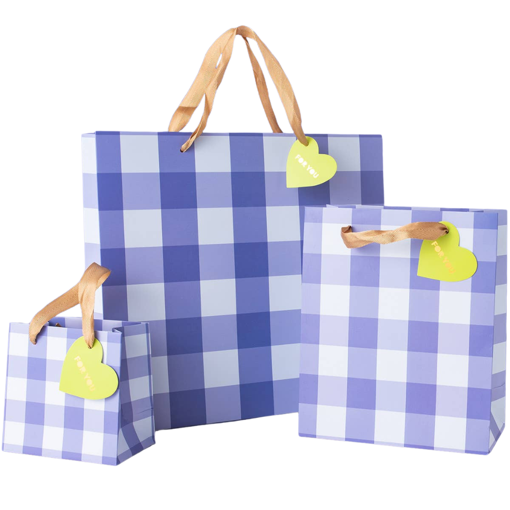 BLUE GINGHAM GIFT BAG Taylor Elliott Designs Gift Wrapping Bonjour Fete - Party Supplies