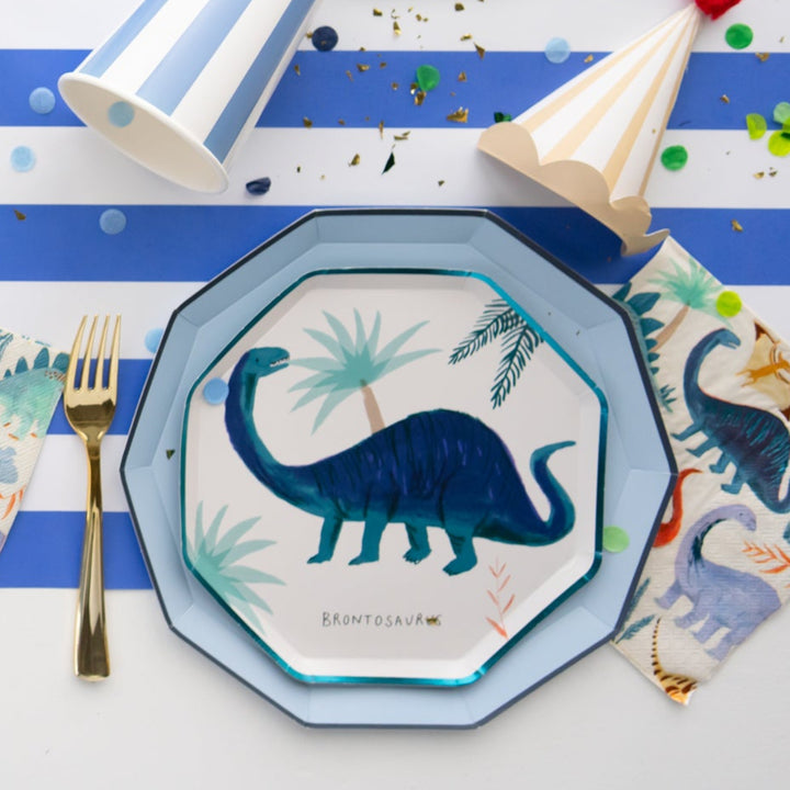 SKY BLUE SIGNATURE LARGE PLATES Bonjour Fete SKY BLUE SIGNATURE LARGE PLATES Bonjour Fete - Party Supplies