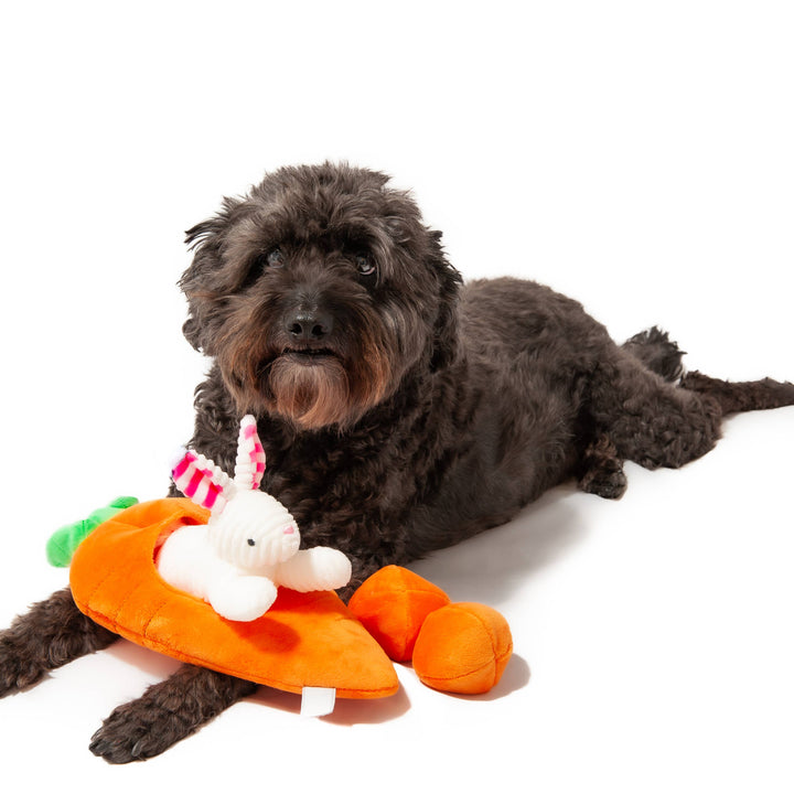 Hide a Toy Carrot with Balls & Rabbit Easter Dog Toy Midlee Designs Hide a Toy Carrot with Balls & Rabbit Easter Dog Toy Bonjour Fete - Party Supplies