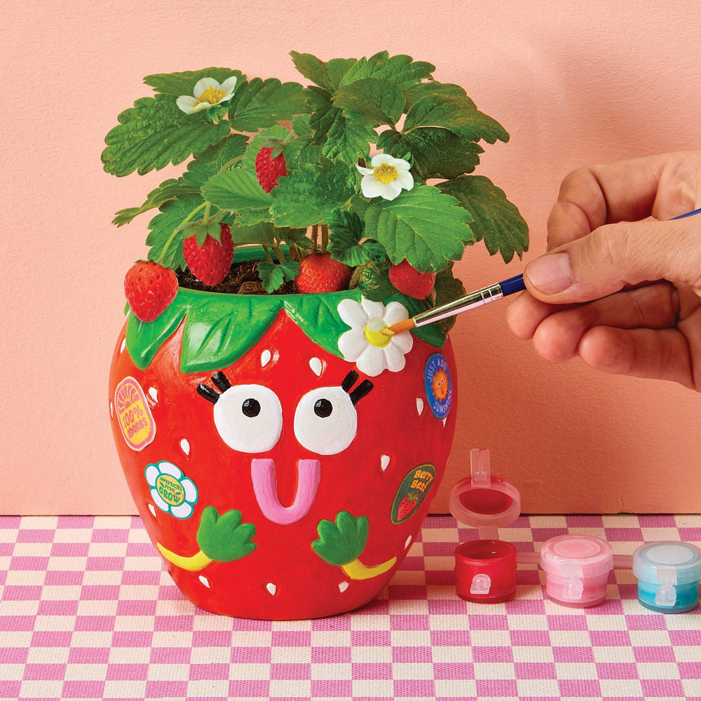 Paint & Grow- Strawberry Bright Stripes Paint & Grow- Strawberry Bonjour Fete - Party Supplies