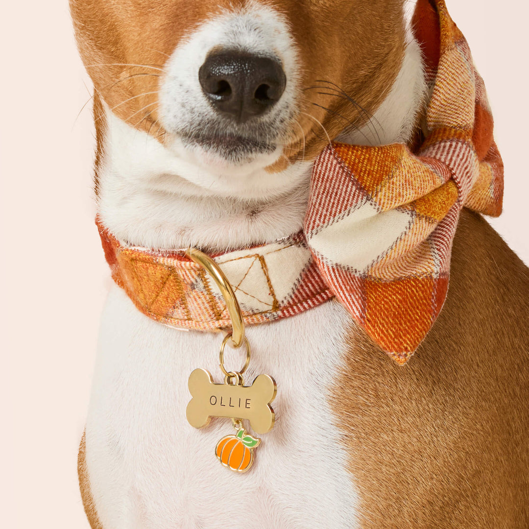 Pumpkin Collar Charm