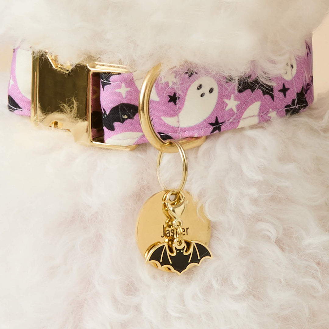 Halloween Favorites Collar Charm Set