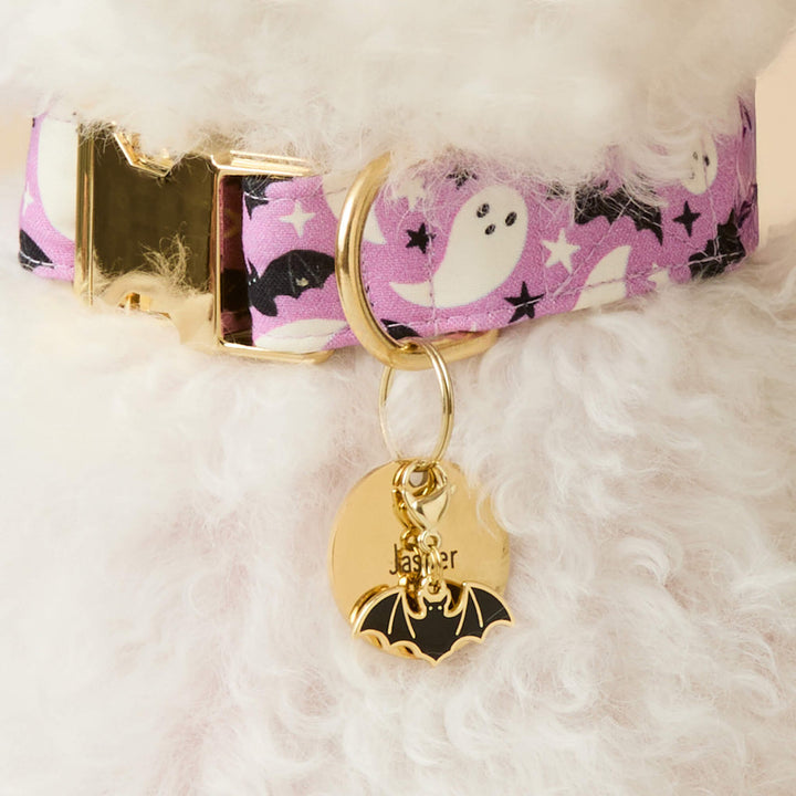 Halloween Favorites Collar Charm Set