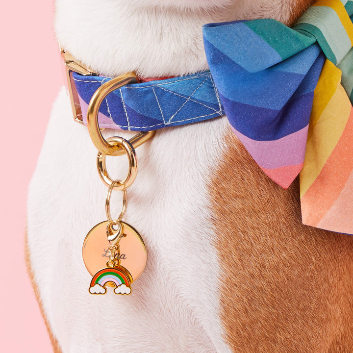Close-up of the rainbow dog collar charm