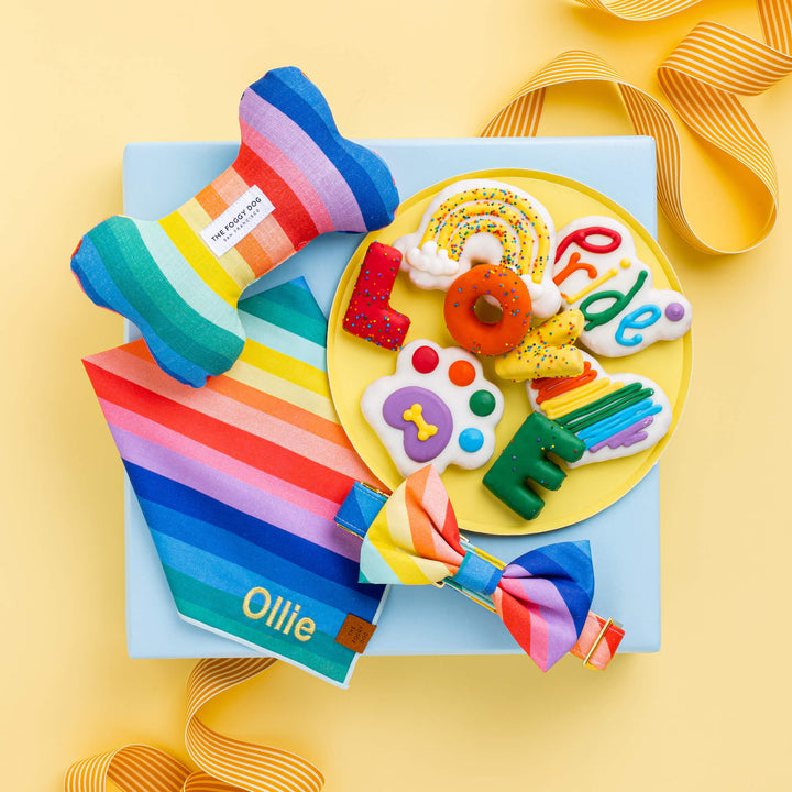Over the Rainbow Dog Collar